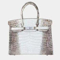 Hermes Birkin 30 Himalaya Niloticus Crocodile Diamond Top Handle Bag